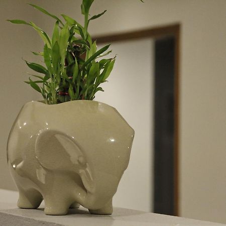 波普托 Twin Lotus Samui酒店 外观 照片